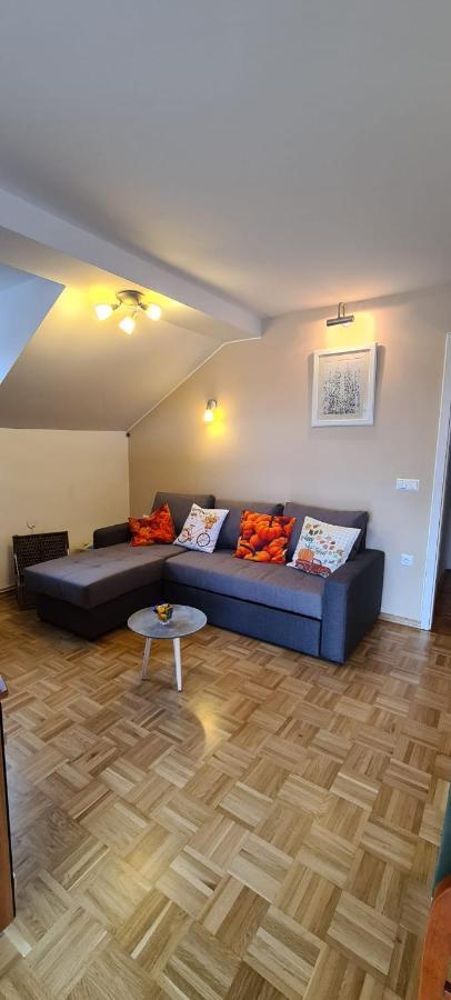 Apartment Kranj - Huge Terrace, Free P, Wi - Fi, Ac Exterior photo